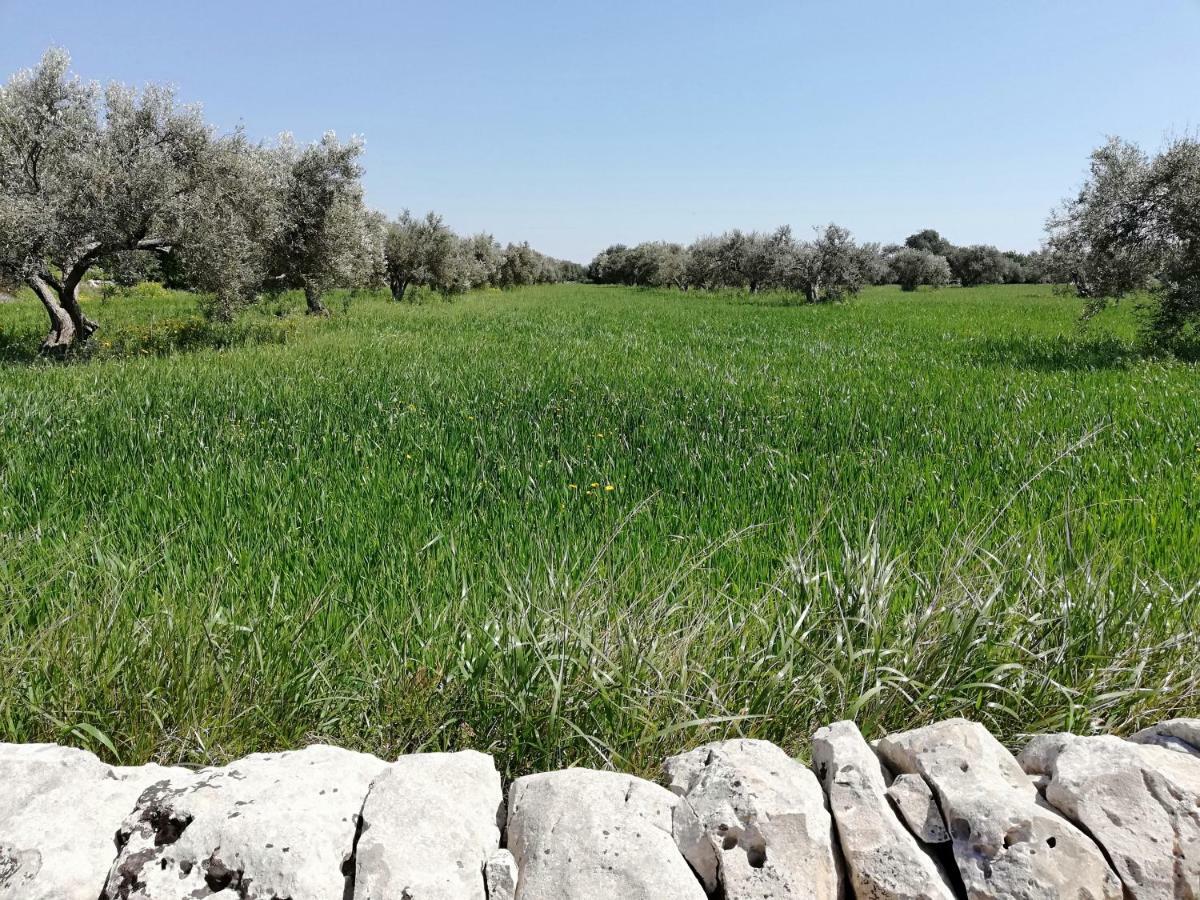 La Dimora Del Decano Villa Scicli Luaran gambar